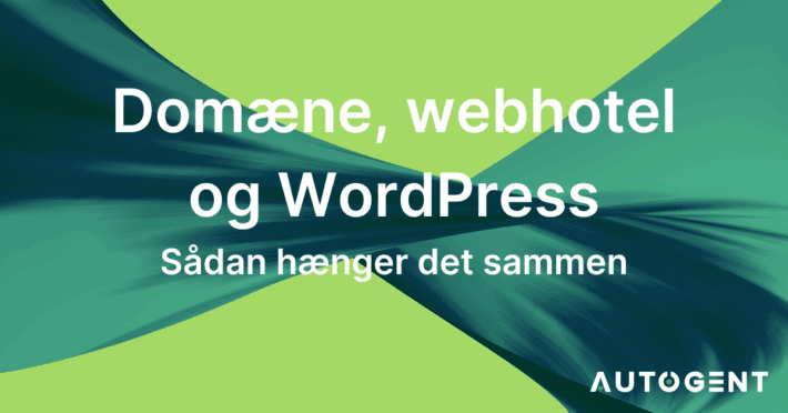 Domæne, webhotel og WordPress: Sådan hænger det hele sammen (uden nørdesprog)