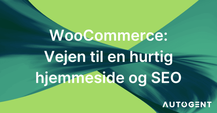 Woocommerce: Bedre hjemmeside performance og SEO.